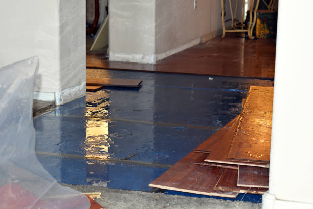 Professional Emergency Water Damage Restoration technician working in Carversville, PA
