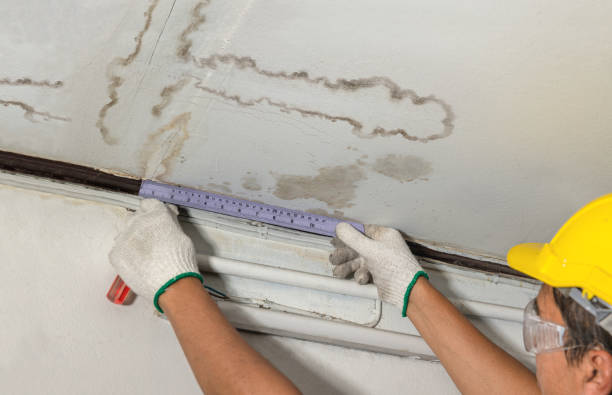Reliable Emergency Water Damage Restoration contractor in Carversville, PA by Water Damage Irwin